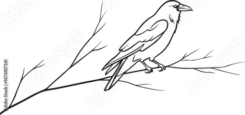 Black and white illustration of a crow perched on a bare tree branch bird raven