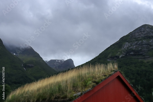  grassy roof against the background of the mountains - Norway