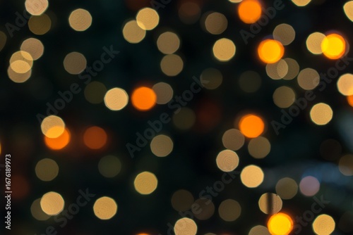 Magnificent Christmas Tree Illuminated with Sparkling Lights