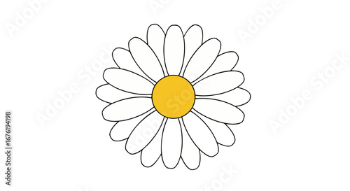 Minimalist Daisy Flower Vector Illustration