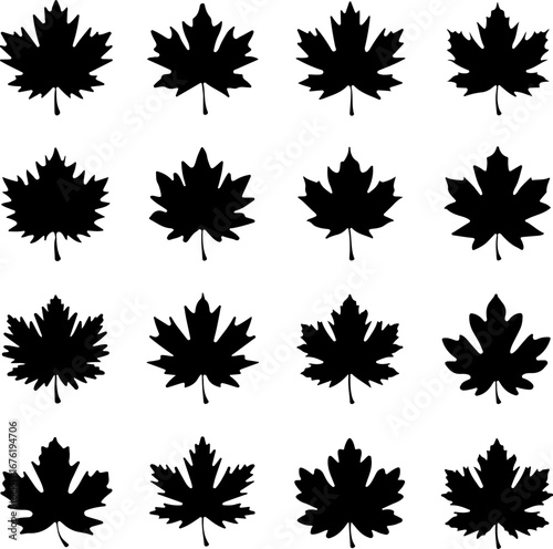 A set of twelve simple, black silhouettes of maple leaves in various orientations, Collection of Black and White Maple Leaf Silhouettes
