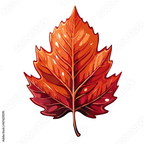 Orange autumn maple leaf with leaves on white background vector illustration on isolated background	