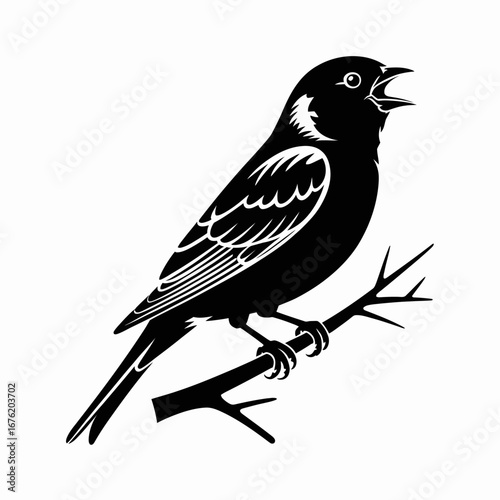 Black and white illustration of a small bird singing on a branch