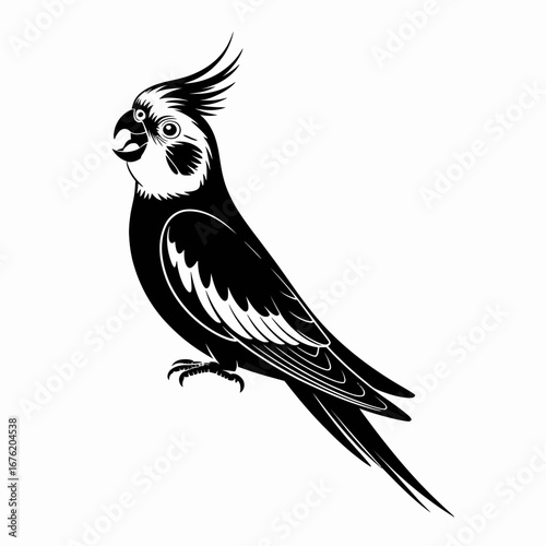 Black and white illustration of a cockatiel bird with crest raised