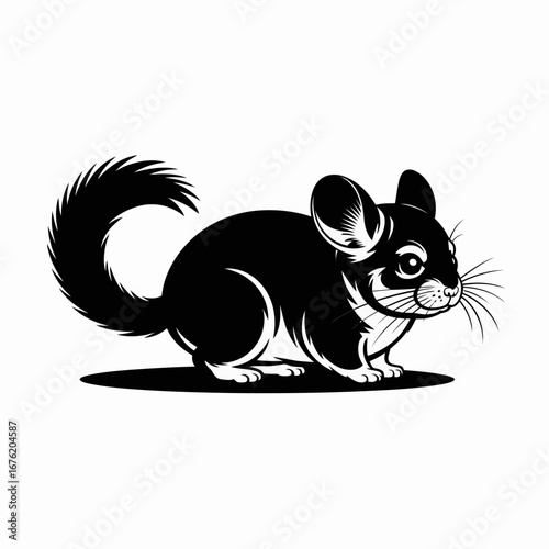 Cute black and white illustration of a chinchilla with a fluffy tail