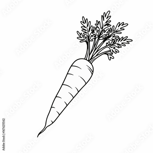 Fresh carrot outline, a simple and clean design ideal for healthy eating campaigns or educational materials, showcasing nature's goodness in every line