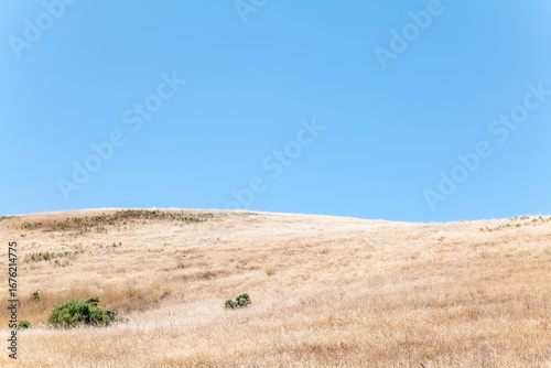 State Route 35 (SR 35), Skyline Boulevard. San Mateo County. Santa Cruz Mountains.  Cold summer mediterranean climate