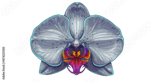 Detailed orchid flower with gray and purple hues on white background