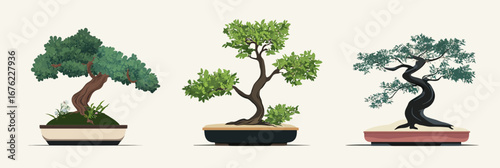 Set of three bonsai trees in minimalist style with twisted trunks and detailed foliage in shallow pots isolated on light background vector illustration