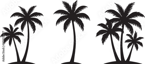 Silhouette Palm Trees on White Background Tropical Beach Island Vector illustration