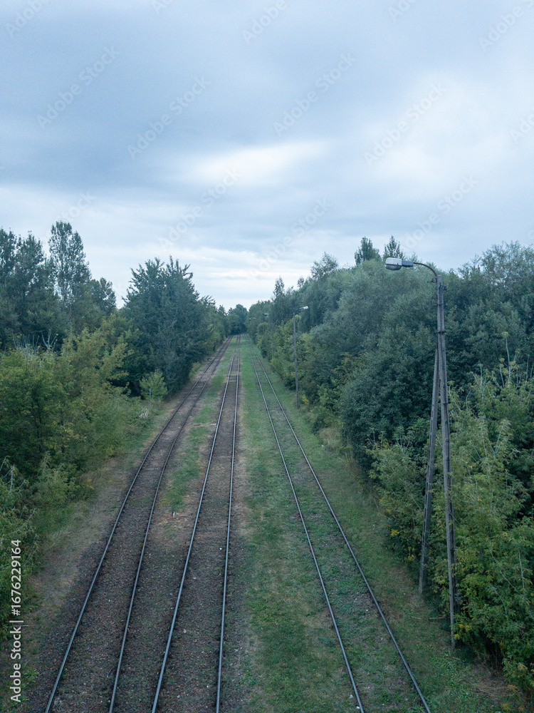 Fototapeta premium Multiple railway tracks running through a green forest corridor under an overcast sky, elevated view with vanishing point