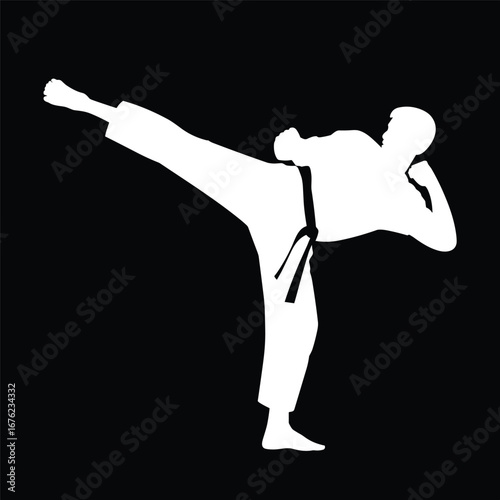 Karate fighter performing a high side kick silhouette