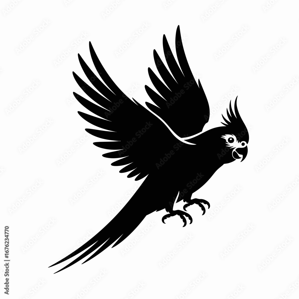 Fototapeta premium Black silhouette of a cockatoo in flight with wings spread wide