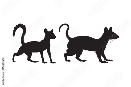Two silhouetted cats standing side by side