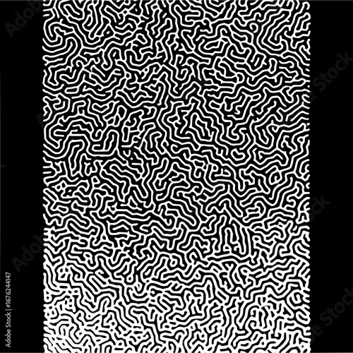 Black and white turing pattern reaction diffusion abstract art generative design organic texture background image