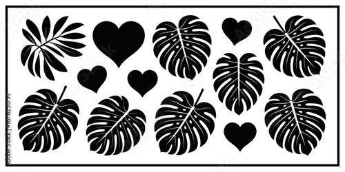 Tropical Monstera Deliciosa Leaves Pattern – Various Sizes, Isolated on Transparent Background – Natural Green Foliage Arrangement for Botanical Designs, Backgrounds, or Creative Projects