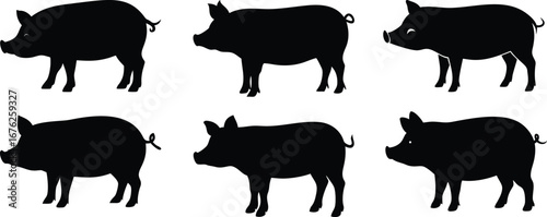 Pig Silhouette Icons