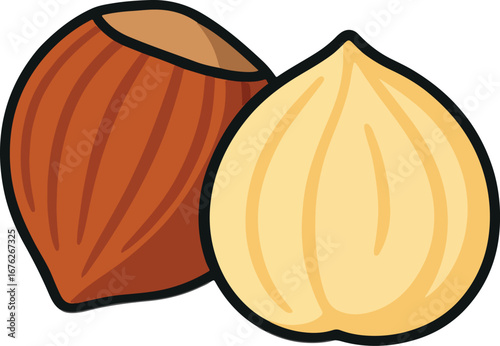 Hazelnut in Shell and Peeled Hazelnut Illustration