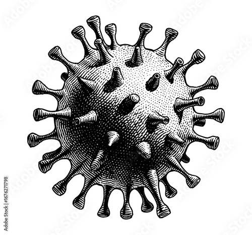 Coronavirus cell in a detailed scientific woodcut style, black and white, representing a microscopic virus or pandemic theme