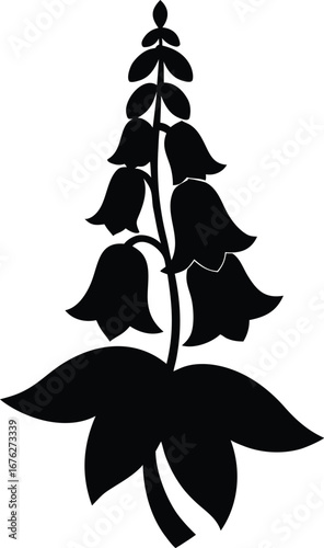 Foxglove flower isolated on white background, a digitalis plant with bellshaped blooms