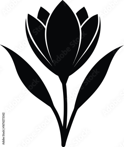 Striking silhouette of a crocus flower isolated on white background, perfect for various design needs