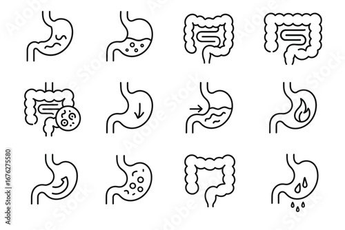 Stomach and intestine line icons representing digestive system and health issues