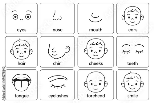 Facial features diagram for children including eyes, nose, mouth, ears, and more