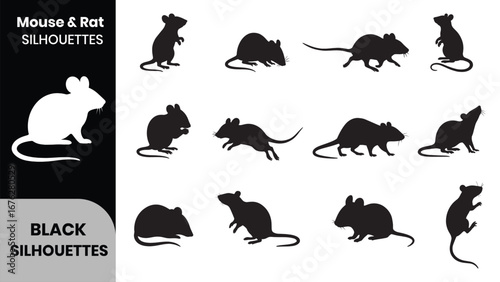 Mouse and Rat Silhouette Vector Set