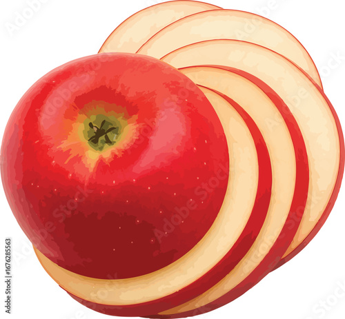 Red Apple Slices Watercolor Style Illustration sliced apple
