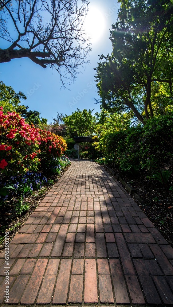 Fototapeta premium Sunny garden path