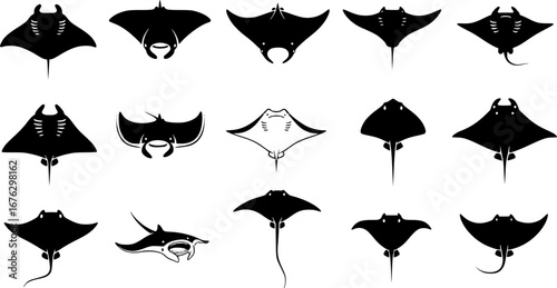 Manta ray silhouette, Manta ray vector, Manta ray SVG, Manta ray clipart, Stingray icon bundle.
