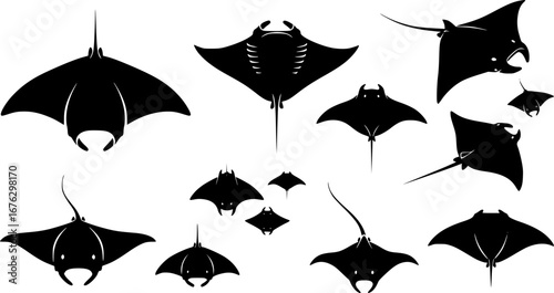 Manta ray silhouette, Manta ray vector, Manta ray SVG, Manta ray clipart, Stingray icon bundle.