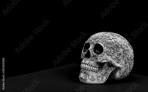skull on black background