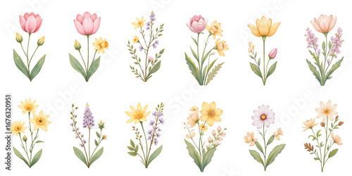 Set of illustrations with flowers in pastel colors