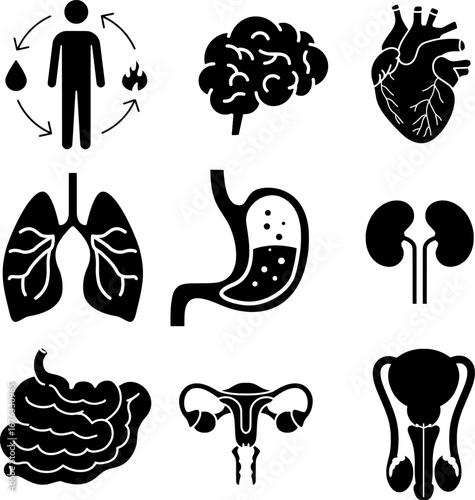 Human Internal Organs Black and White Icon Set