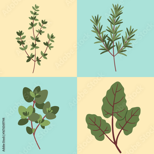 set illustration vector graphic of red stemmed herbal plant