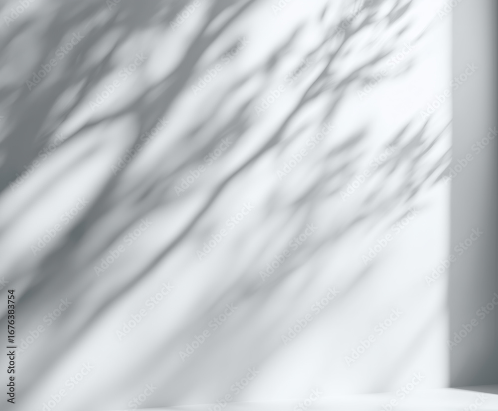 Obraz premium 儚さを感じる木漏れ日の影とモノクロームのテクスチャ背景(光影 静けさ 抽象)