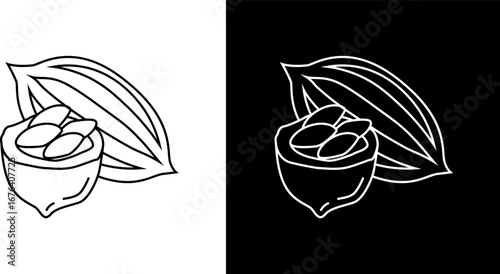 Line art illustration of a cocoa pod with beans, depicted in both black on white and white on black versions.
