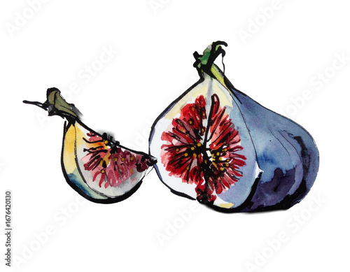 Hand-drawn fig illustration. Charm. Hand-drawn style. Brush-painted ingredients. Tree nut. Fruit. Hydration. Imported. Vitamin. Beauty. Beautiful skin. Dietary fiber.