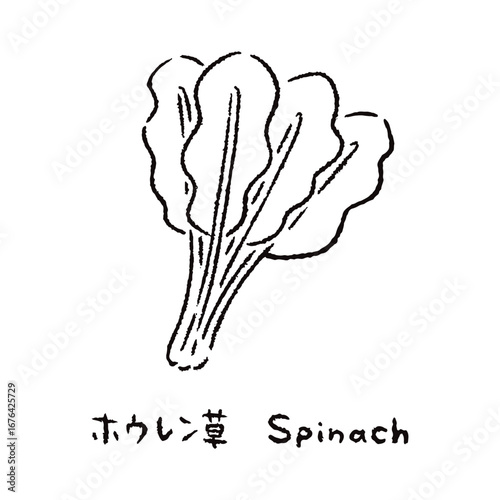 手描きのほうれん草2_名称入_白黒