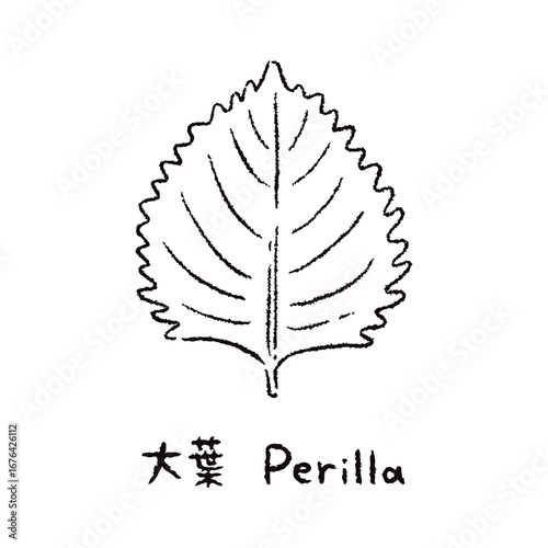 手描きの大葉2_名称入_白黒
