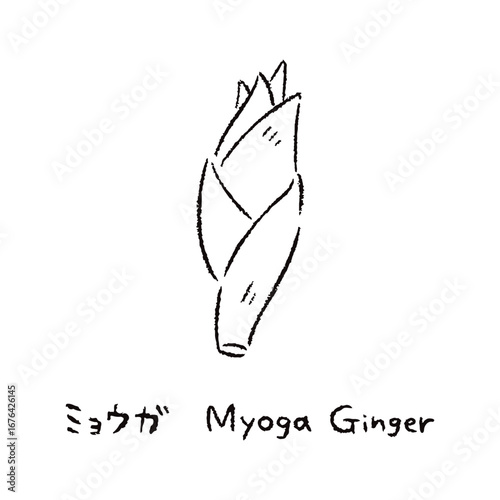 手描きのみょうが2_名称入_白黒