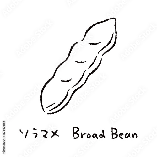 手描きのそら豆2_名称入_白黒
