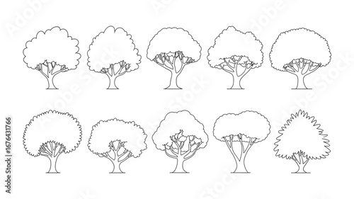 Ten diverse line art trees, perfect for design projects, illustrating nature, or adding botanical elements to your creative work.