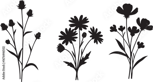 Three delicate black silhouettes of wildflowers on a white background