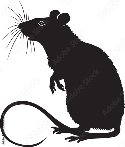 A black and white silhouette of a rat against a white background.