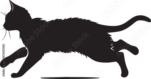 A black cat running on a white background.