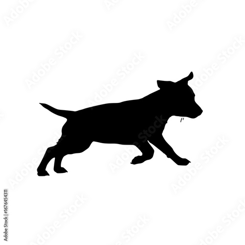 black cat silhouette