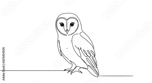 Owl Line Art: A minimalist outline illustration of a barn owl, the majestic bird of prey with a distinctive heart-shaped face, perch calmly, embodying simplicity and elegance.