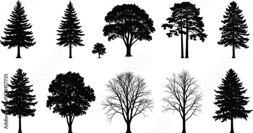 Tree silhouette collection, forest nature vector, black tree illustration, outdoor eco design, woodland artwork, seasonal trees, landscape element, natural background